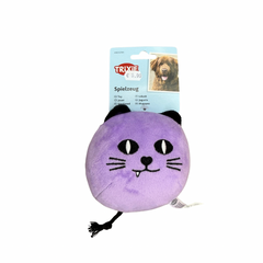 Citrouille chauve-souris