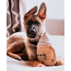 Zippy paws latte