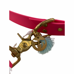 Laisse biothane Cristal