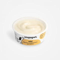 Yaourt sans lactose chien - miel