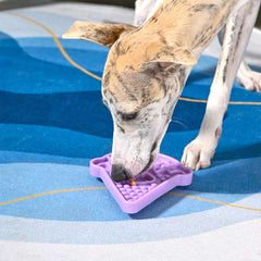 Tapis de lèche glace