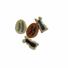 Friandises PĂąques đŁ