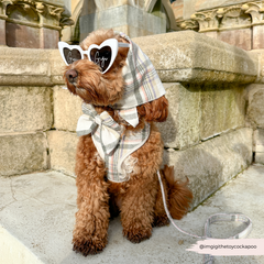 Harnais Cocopup Oxford Plaid