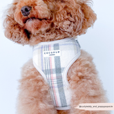 Harnais Cocopup Oxford Plaid