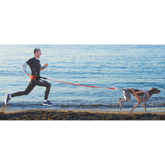 Longe de traction i-dog one