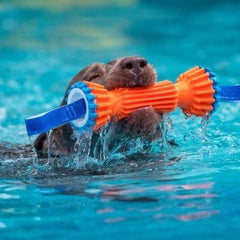 CHUCKIT RUGGED BUMPER M