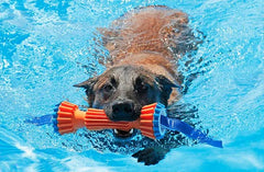 CHUCKIT RUGGED BUMPER M