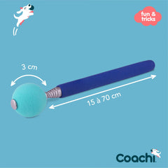 TARGET STICK COACHI