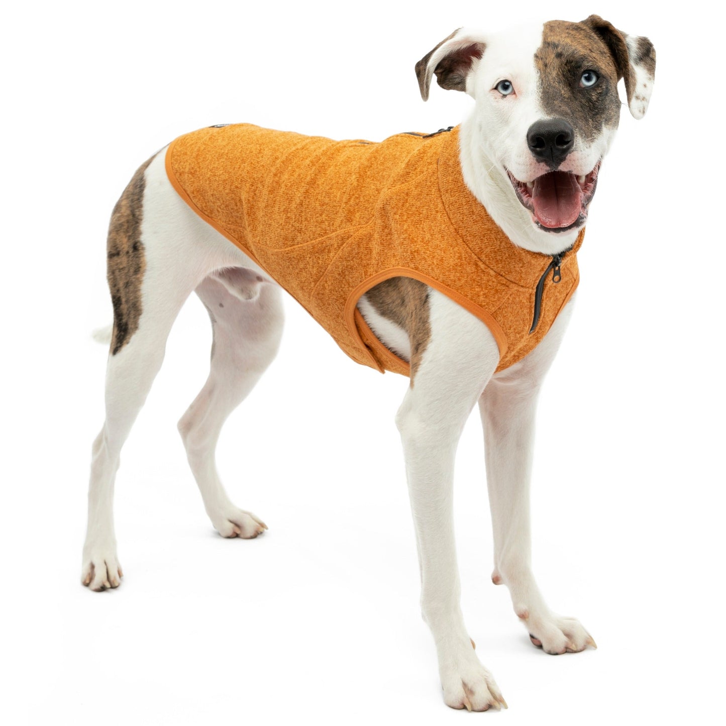 Kurgo pull k9 ocre