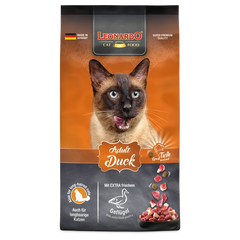 Adulte canard Leonardo