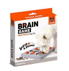 Brain game puzzle