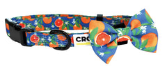 COLLIR BLUE CITRUS S