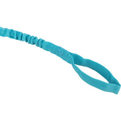 Tug élastique avec balle