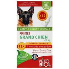Pipette grand chien x12
