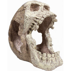 Hamac Lizard-Lounger Skull