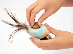 JOUET OISEAUX BLEU SON HERBE A CHAT