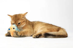 JOUET OISEAUX BLEU SON HERBE A CHAT