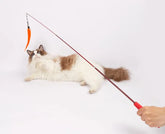 Canne à pêche vers rétractable