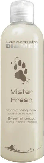 Shampoing Mister fresh