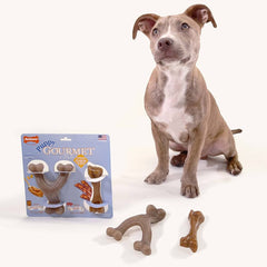 Nylabone puppy gourmet kit