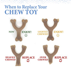 Nylabone puppy gourmet