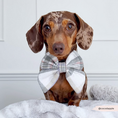 Cocopup Oxford plaid