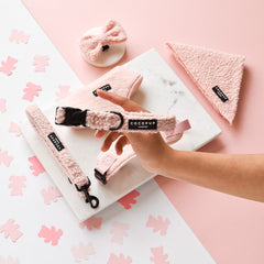 Cocopup Teddy Love a Lot