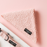 Cocopup Teddy Love a Lot