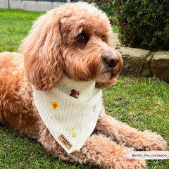 Cocopup Woodland Walkies