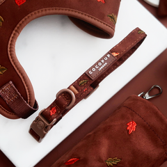 Cocopup Pawtumn Leaves