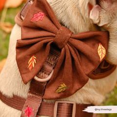 Cocopup Pawtumn Leaves