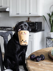 Zippy paws bubble tea