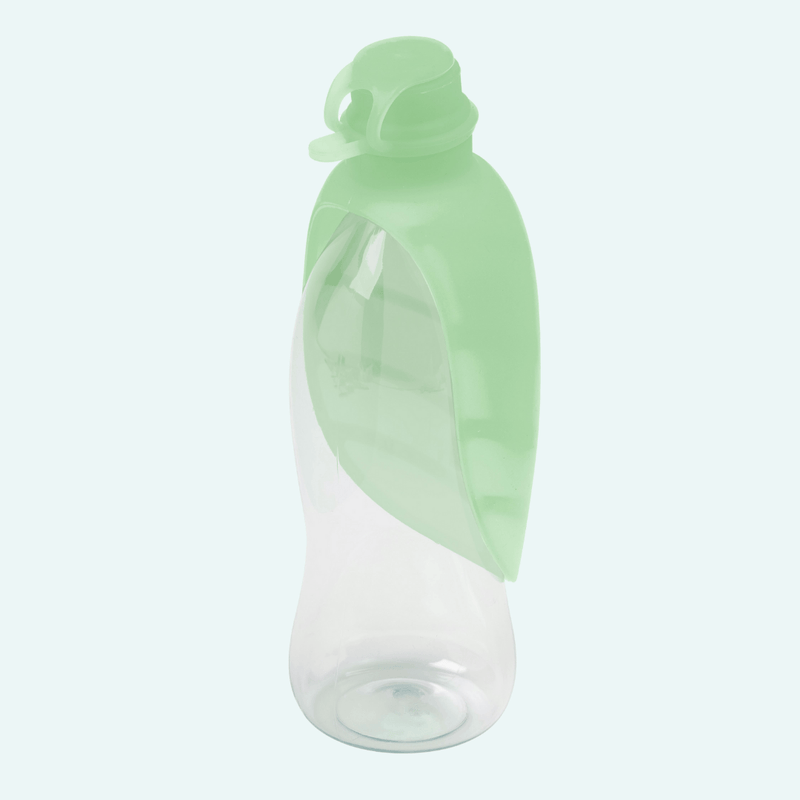 Gourde leaf