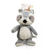 Shalom le raton laveur