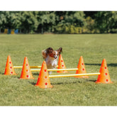 OBSTACLES AGILITY
