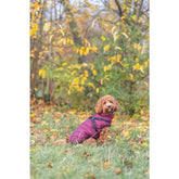 Manteau Pirou sangria avec harnais