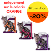 HARNAIS + LAISSE CHAT