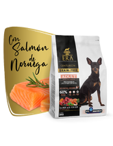 ERA ADULT CENTURION MINI