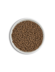 ERA ADULT CENTURION MINI