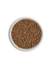 ERA ADULTE HYPO SAUMON CANARD CHAT