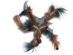 Étoile de mer herbe à chat - HAPPY ZOO SHOP