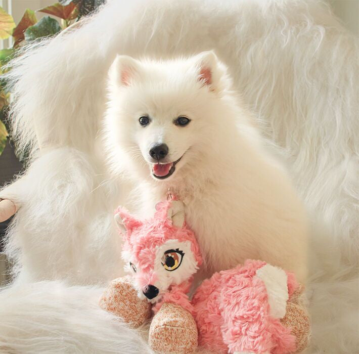 Renard low stuff KONG - HAPPY ZOO SHOP