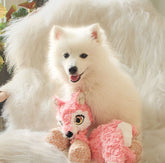 Renard low stuff KONG - HAPPY ZOO SHOP