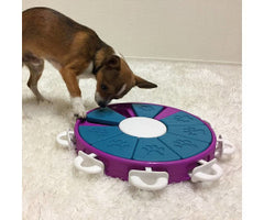 Dog Twister Nina Ottosson - HAPPY ZOO SHOP