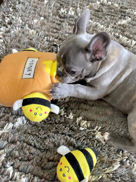 Jouet miel et abeille interactif