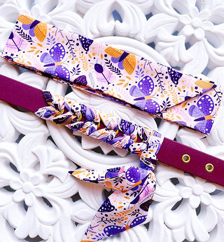 Collier Biothane Papillon - HAPPY ZOO SHOP