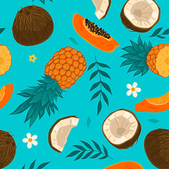 Collier Biothane Koko - HAPPY ZOO SHOP