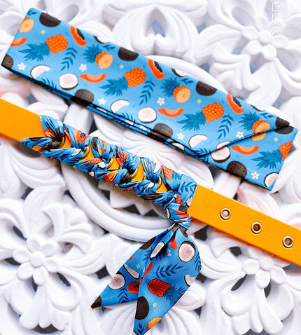 Collier Biothane Koko - HAPPY ZOO SHOP