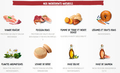 Pâtée chien boeuf saumon GF