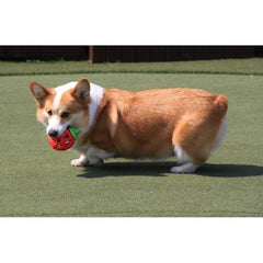 Jouet fraise à garnir - HAPPY ZOO SHOP